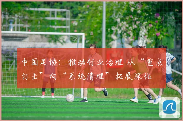 中国足协：推动行业治理 从“重点打击”向“系统清理”拓展深化