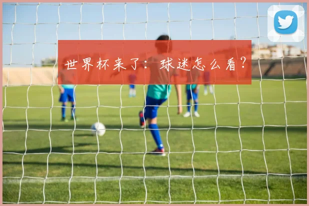世界杯来了：球迷怎么看？